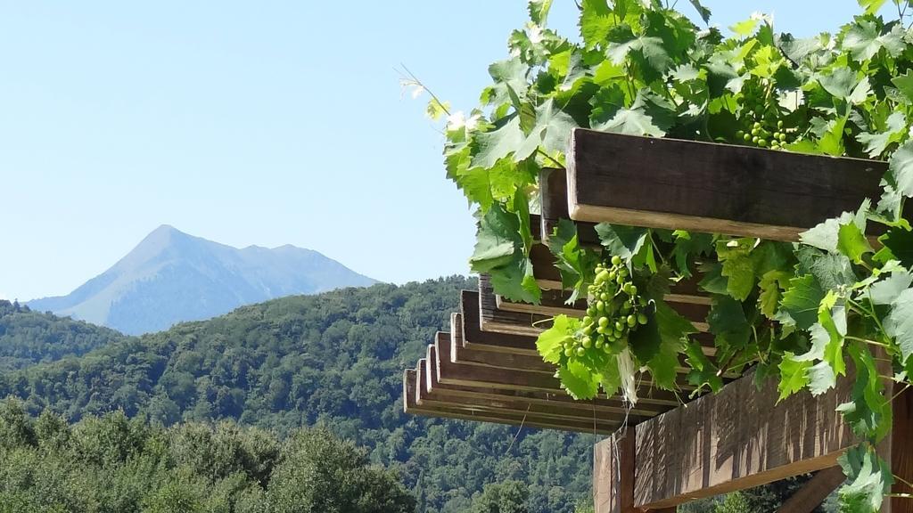 Gites Pyrenees Les Trois Montagnes Ganties Pokój zdjęcie